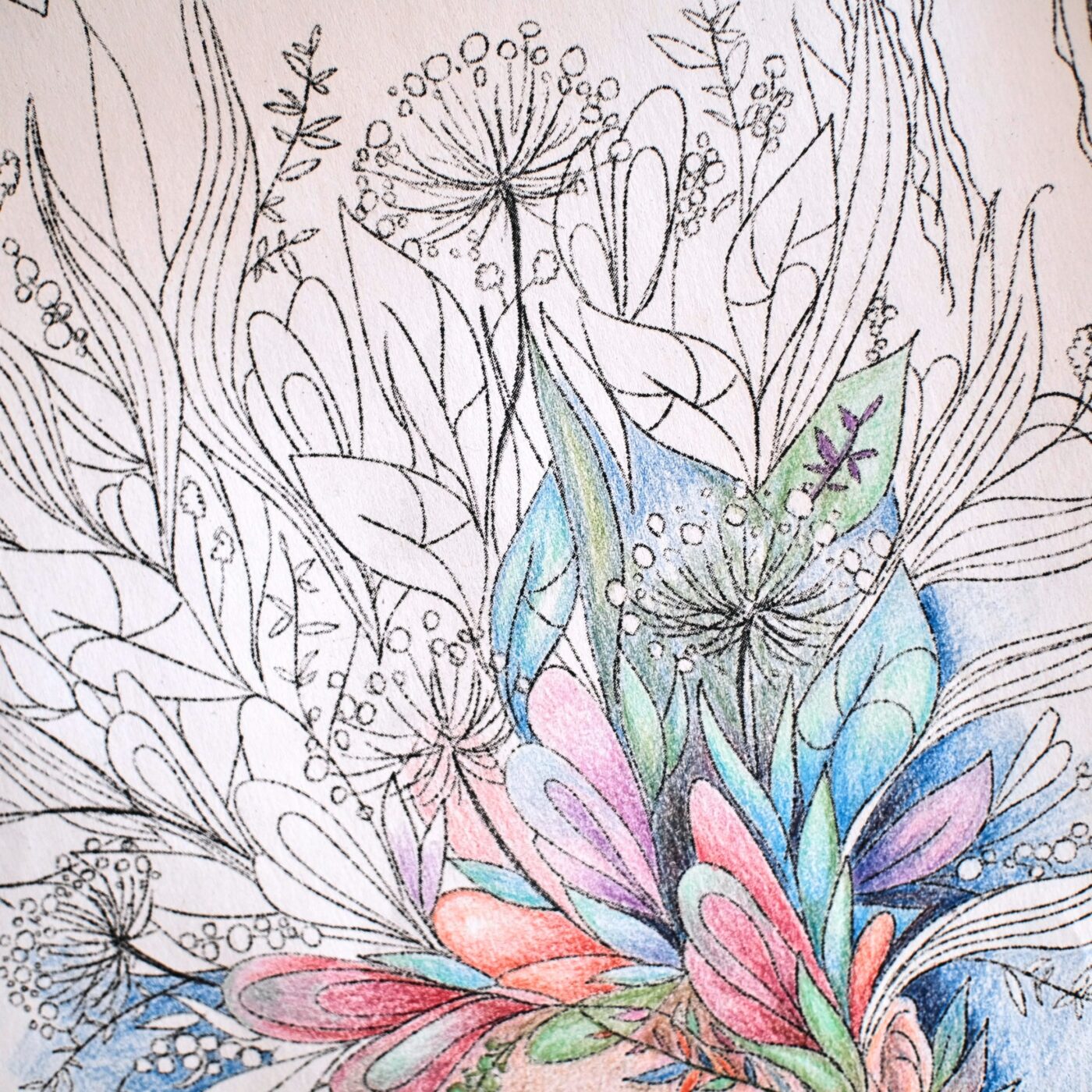 Ausmalbild "Florale Träumerei" - Bunstift-Beispiel