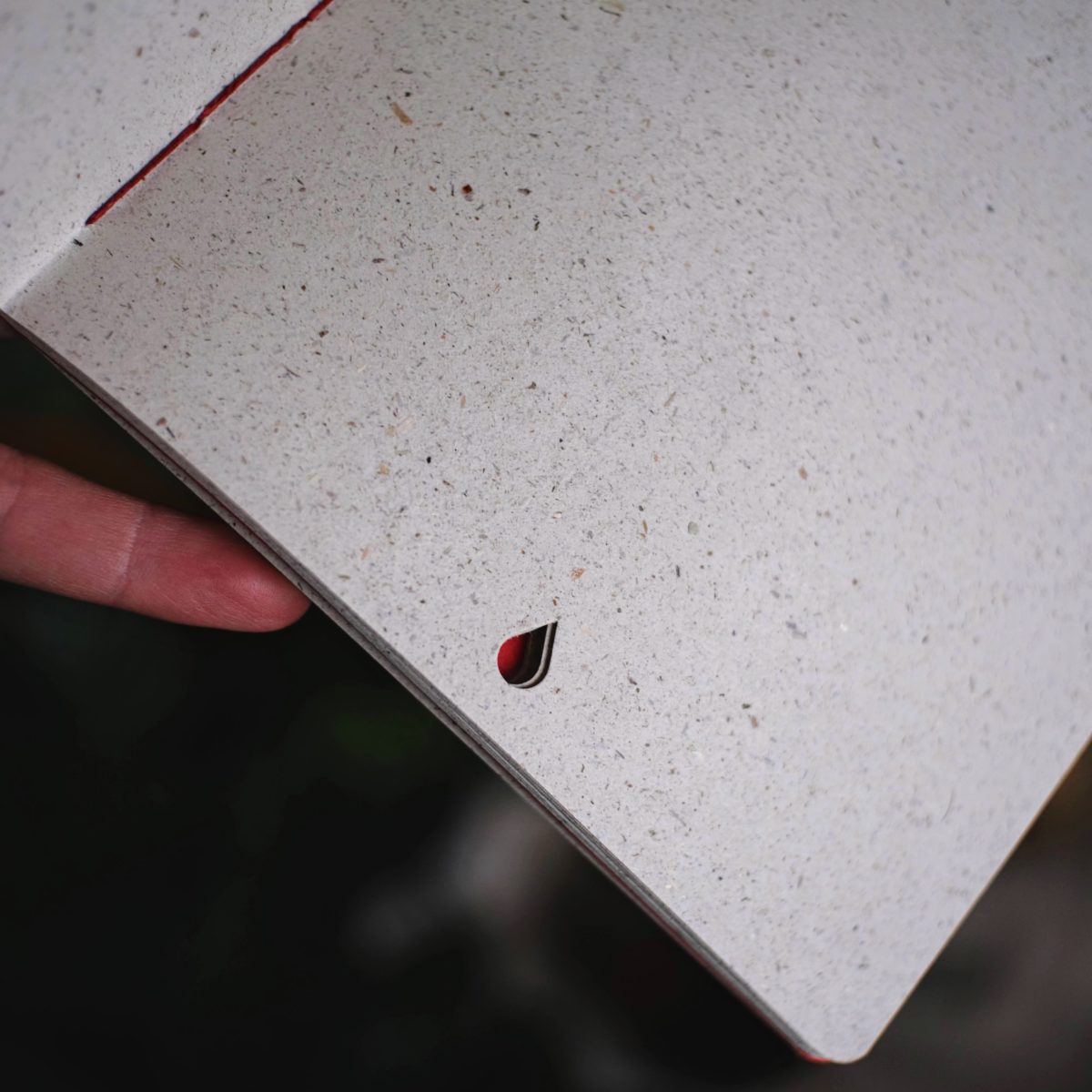 bleeding journal tagebuch fuer die tage bleeding vulva yoni menstruation periode innerer winter einkehr maria und der pinsel 4 scaled - Maria und der Pinsel