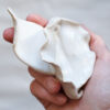 Keramikvulva "Saraswati" in Weiß